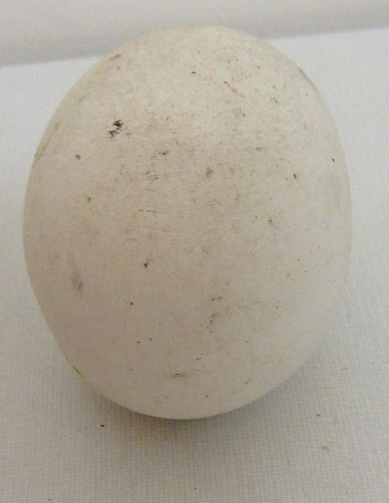 Ceramic White Bisque Unpainted Plain Easter Egg w/ Hole 2.75"