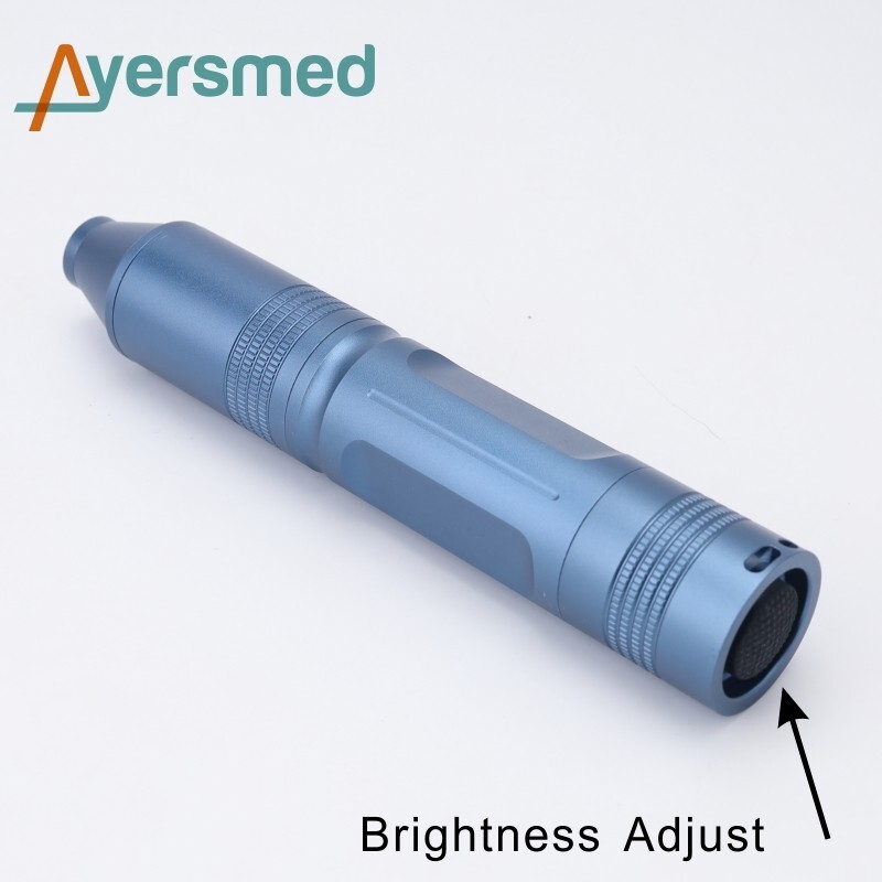 High-Brightness 10W LED Rechargeable Portable Endoscope Light Source for ENT