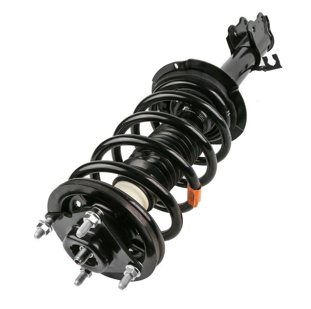 Front Complete Shocks Struts For 2001-2012 Ford Escape 05-11 Mercury Mariner