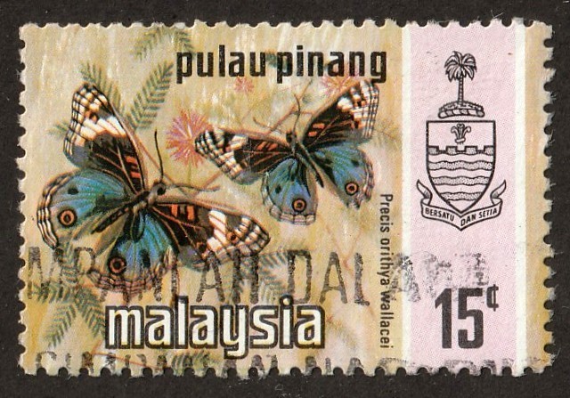 Malaysia         79        used       Butterflies