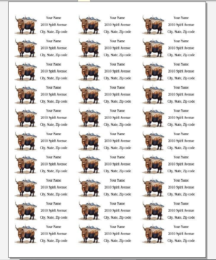 150 Mountain Range Yak Cow Steer Mailing Return Address Labels Personalized