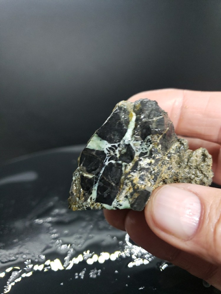 Nevada Gecko Variscite Rough