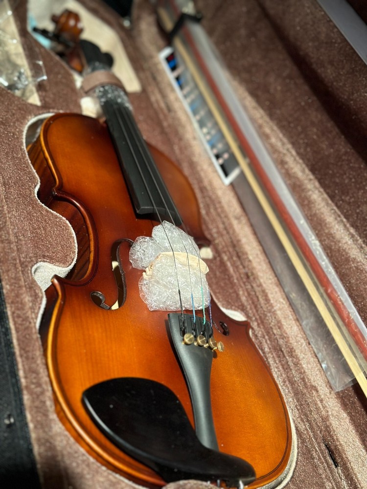 Brand New Unbranded 4/4 Violin