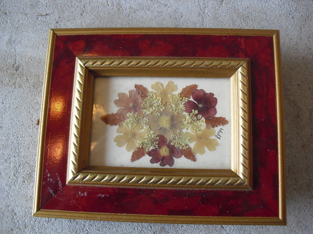 Unique Small Mounted Flowers in Wood Frame Wall Hanging