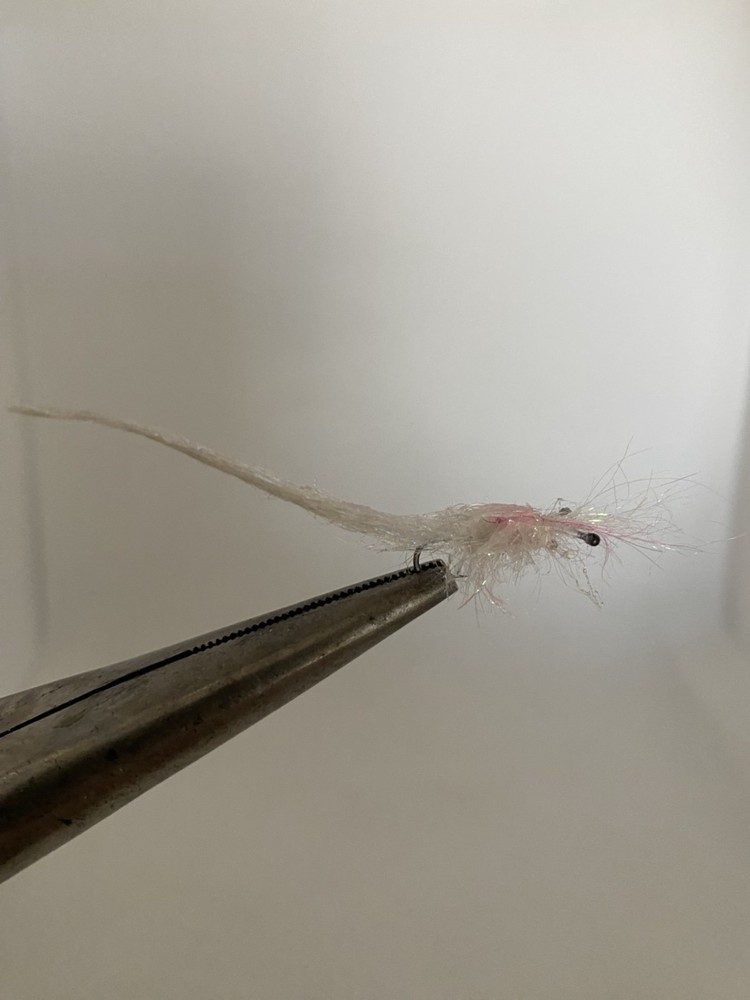 Mysis Shrimp Size 14