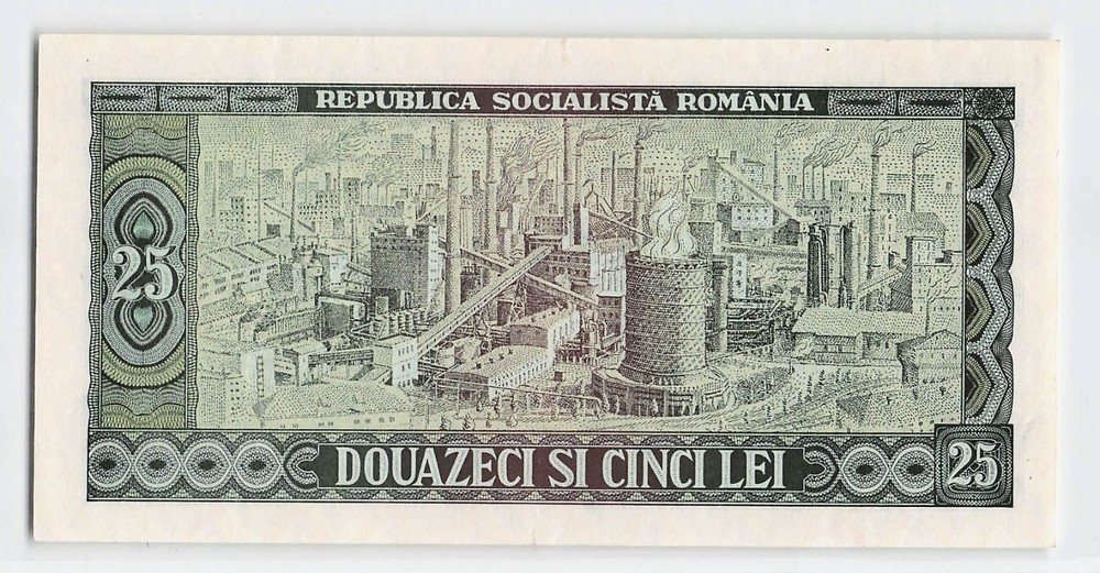 Romania P-95 1966, Banknote.