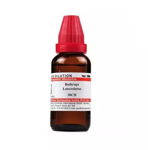 Willmar Schwabe India Homeopathic Bothrops Lanceolatus Dilution 30ml