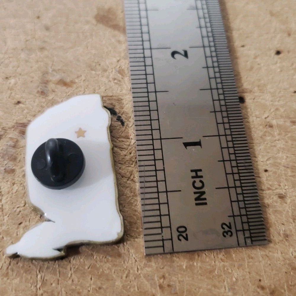 Initial D, TOYOTA Trueno AE86, Pin