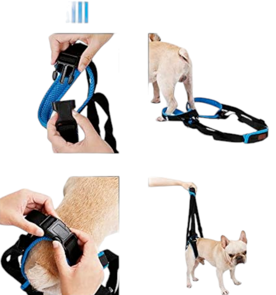 Doglemi Dog Lift Support Harness Rear 2 Leg Sling Strap Size Medium - Adjustable