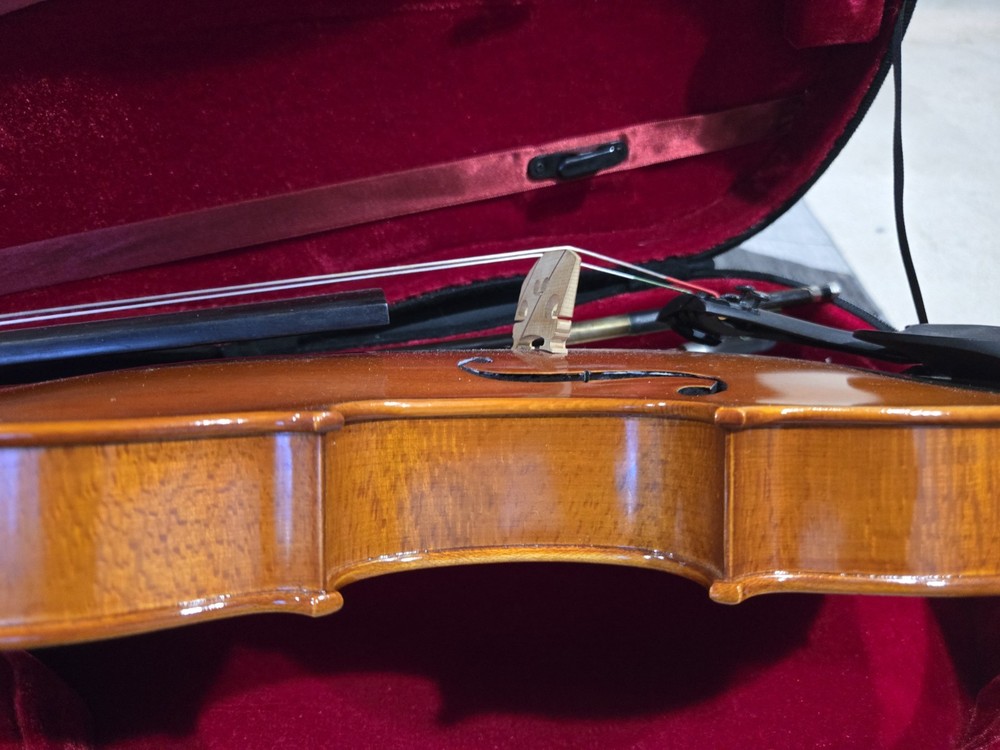 Viola Student Edition. - Needs New Strings