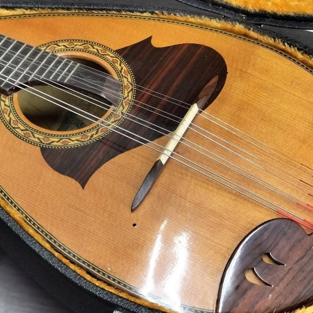 ◇Mandolin SUZUKI M-215 with hard case