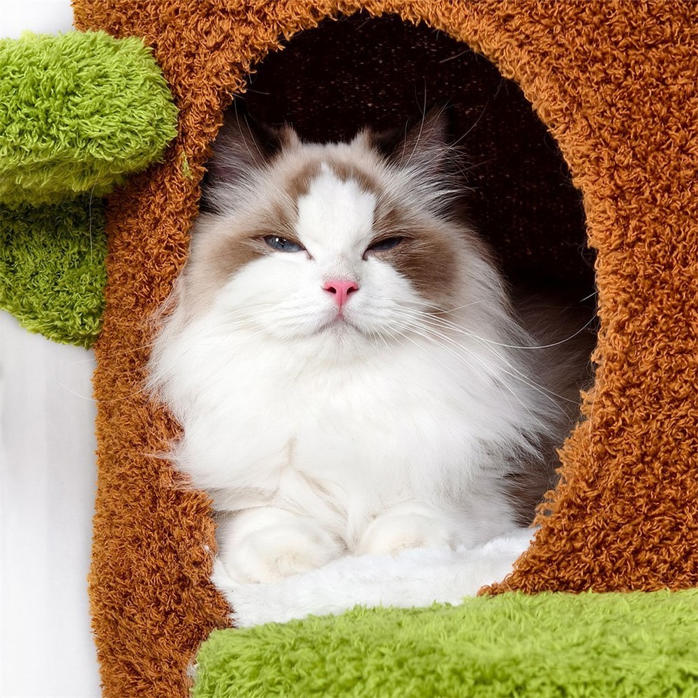 Robust Cat Tree Cat Kitty Scratching Post Fun Activity Center Padded Top Perch
