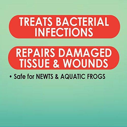 API TURTLE FIX Antibacterial Turtle Remedy 8-Ounce Bottle