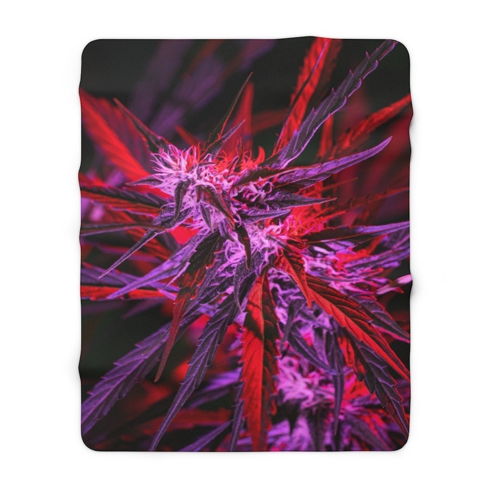 fleece blanket