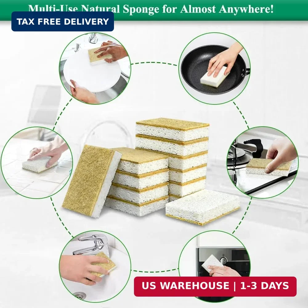 Natural Kitchen Sponge Compostable Kitchen Sponges Cellulose and Coconut Scrubbe