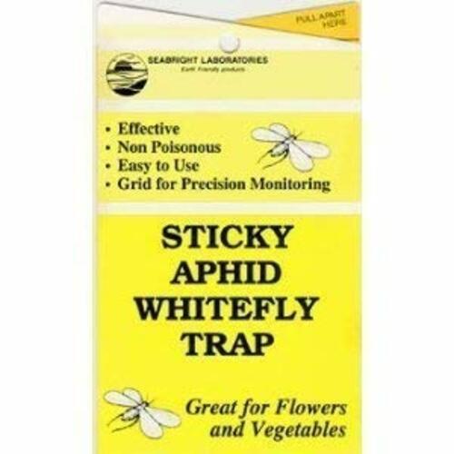 Aphid and Whitefly Sticky Traps - 5 Pack