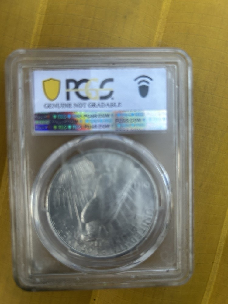 1923 Peace Liberty Silver Dollar Eagle Lady Liberty Silver