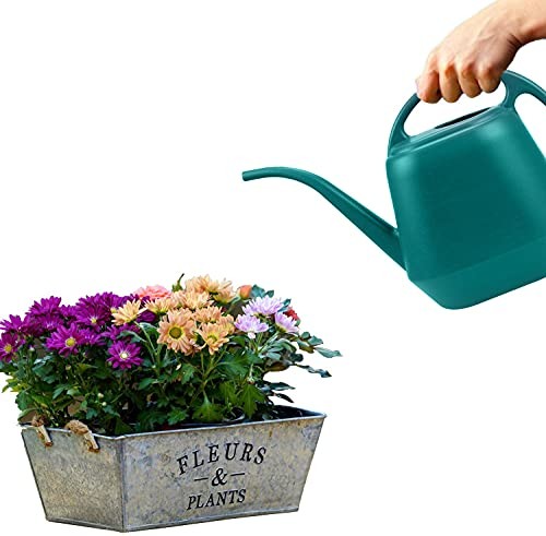 Plastic Watering Can, 1-Gallon, Green