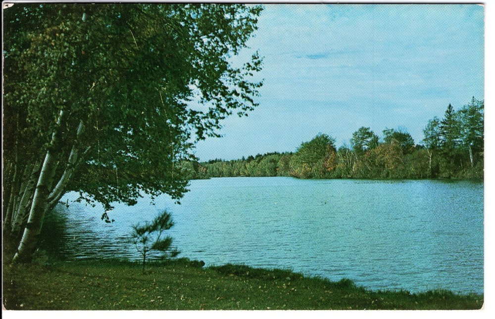 FIRST TINT OF AUTUMN - PC2680