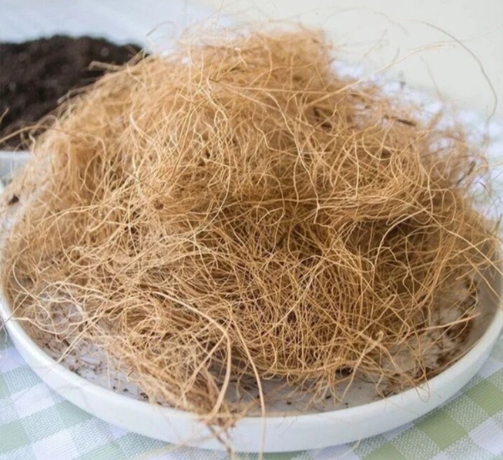 New Ceylon coconut fiber 50g