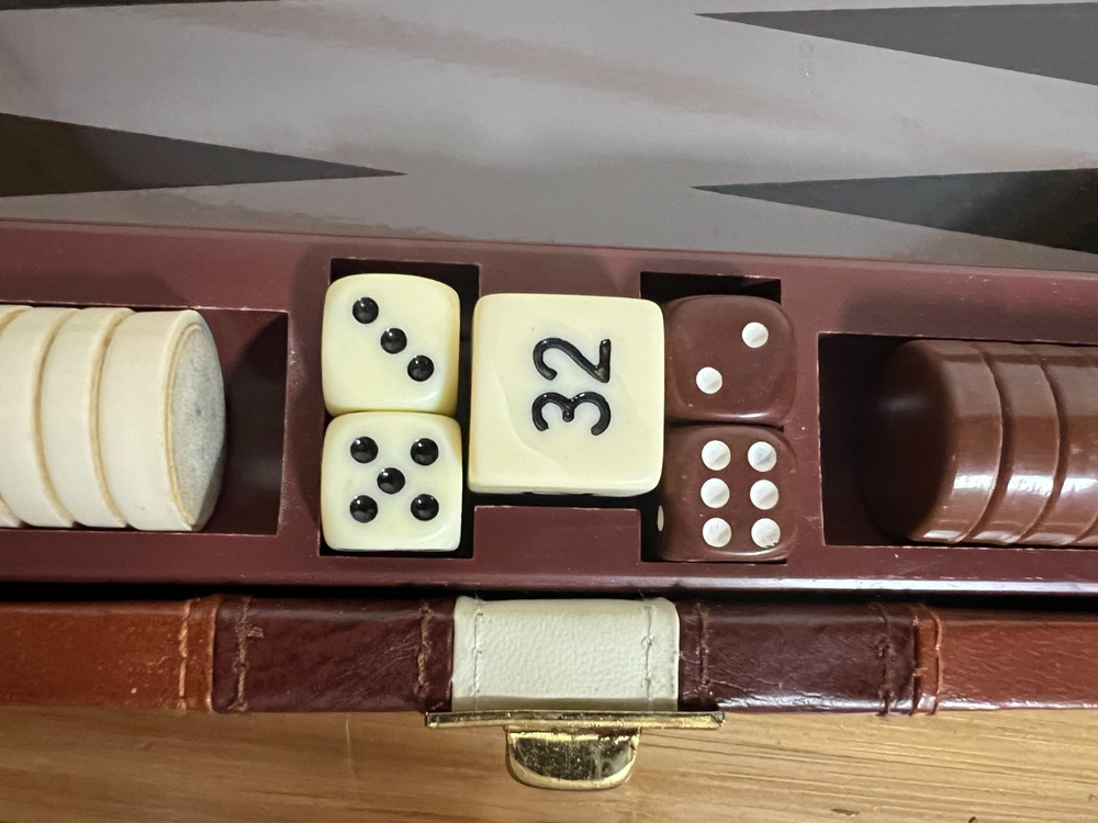 Backgammon in Travel Case 9 x 6.5 - Magnetic