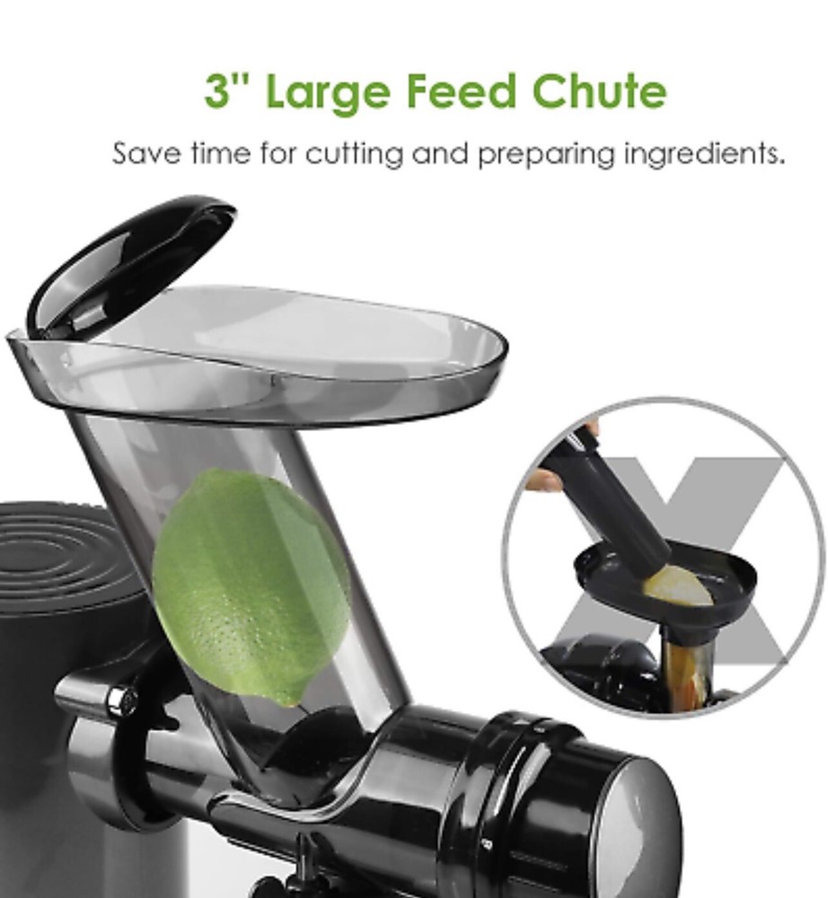 Juicer Machine Masticating Juicing Veggie Fruit Extractor Cold Press 2Speed Mode