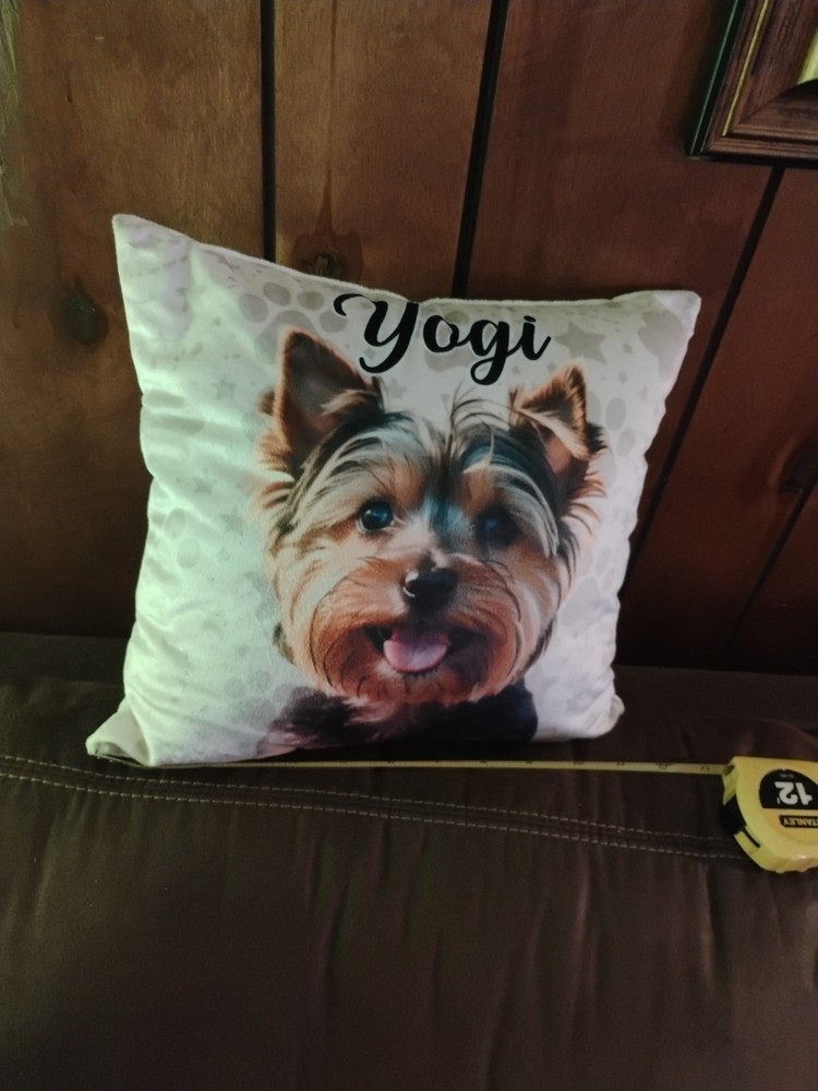 Yogi Soft 12" Pillow $22