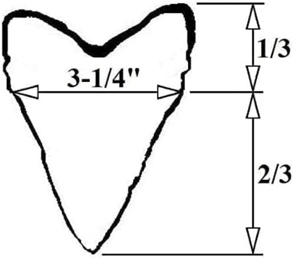 3D Printed Megalodon Shark Tooth Display Stand