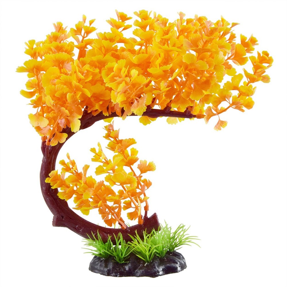 RA Bacopa Bonsai - Orange (2 Pack)