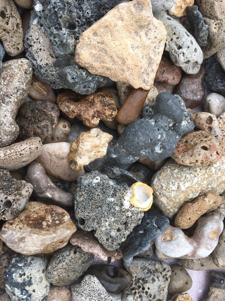 Florida Sea Rocks at least 2.5 LBS