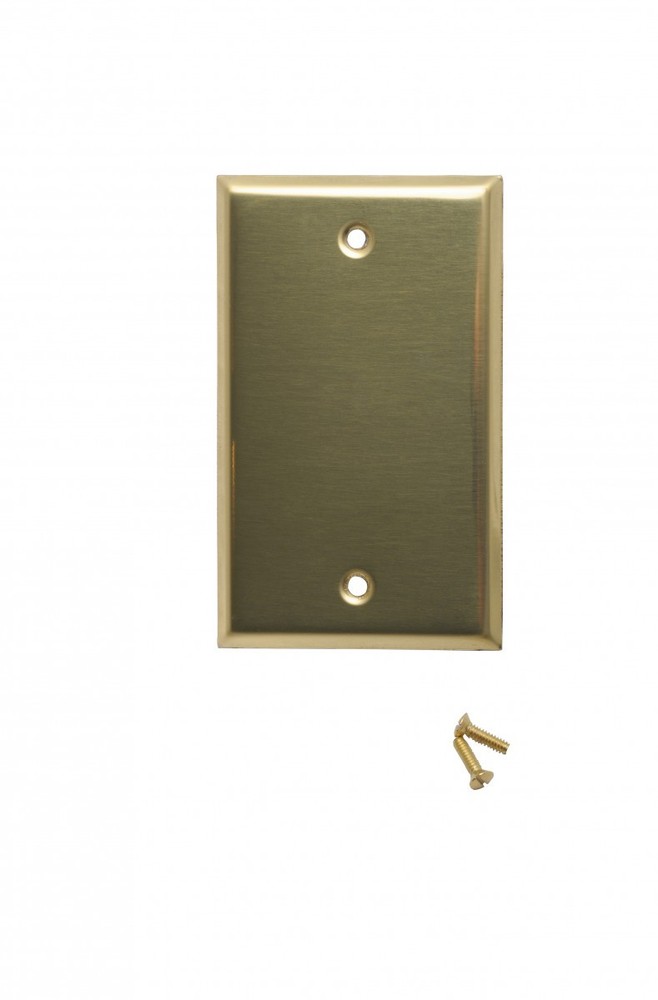 Switch Plates Bright Solid Brass Single Blank | Renovator's Supply