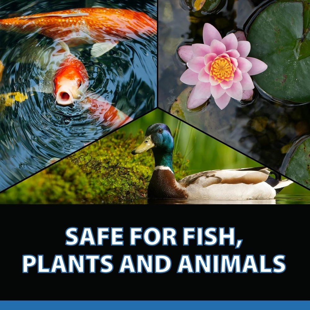 Clear Water Solution for Fountains - 1 Gallon