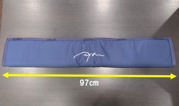 Dion Head Protector