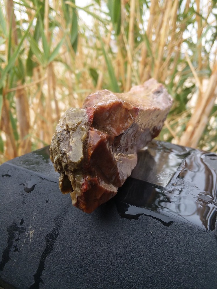 Lapidary