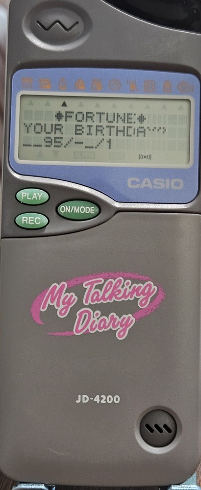 Vintage Casio My Talking Diary Working 90’s Recorder - Working!