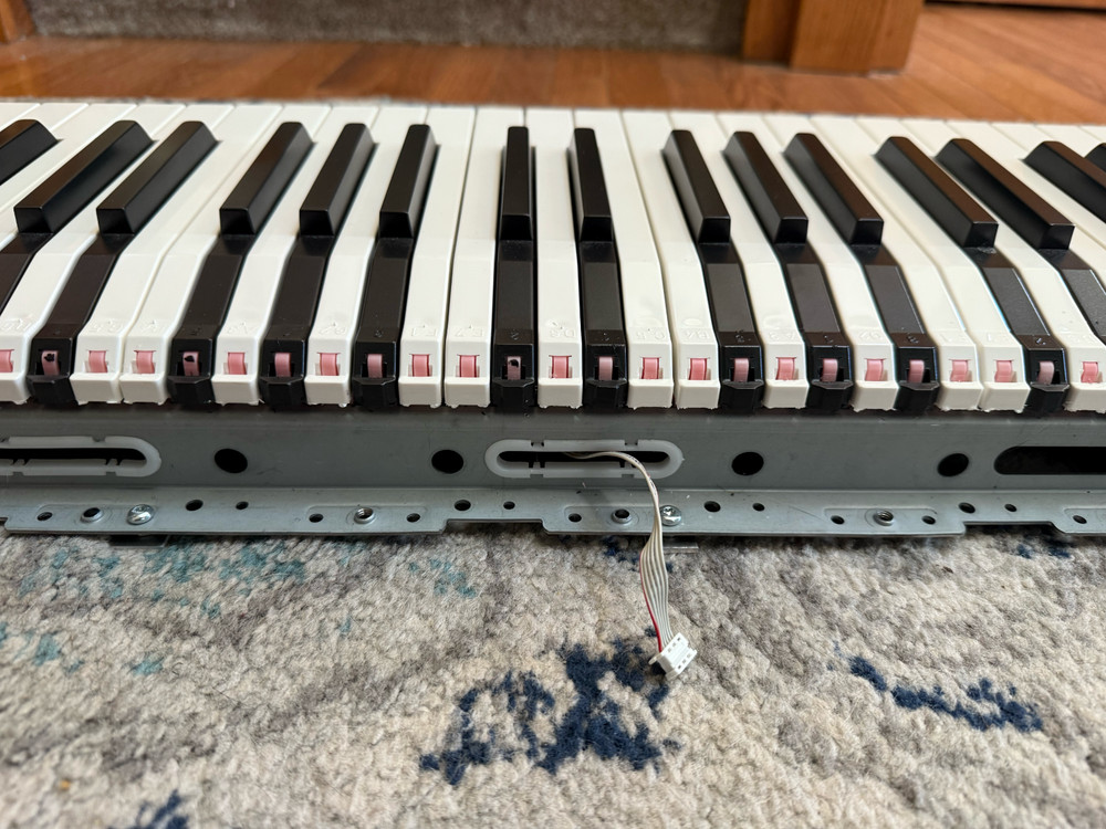 Nord Stage 4 Keybed