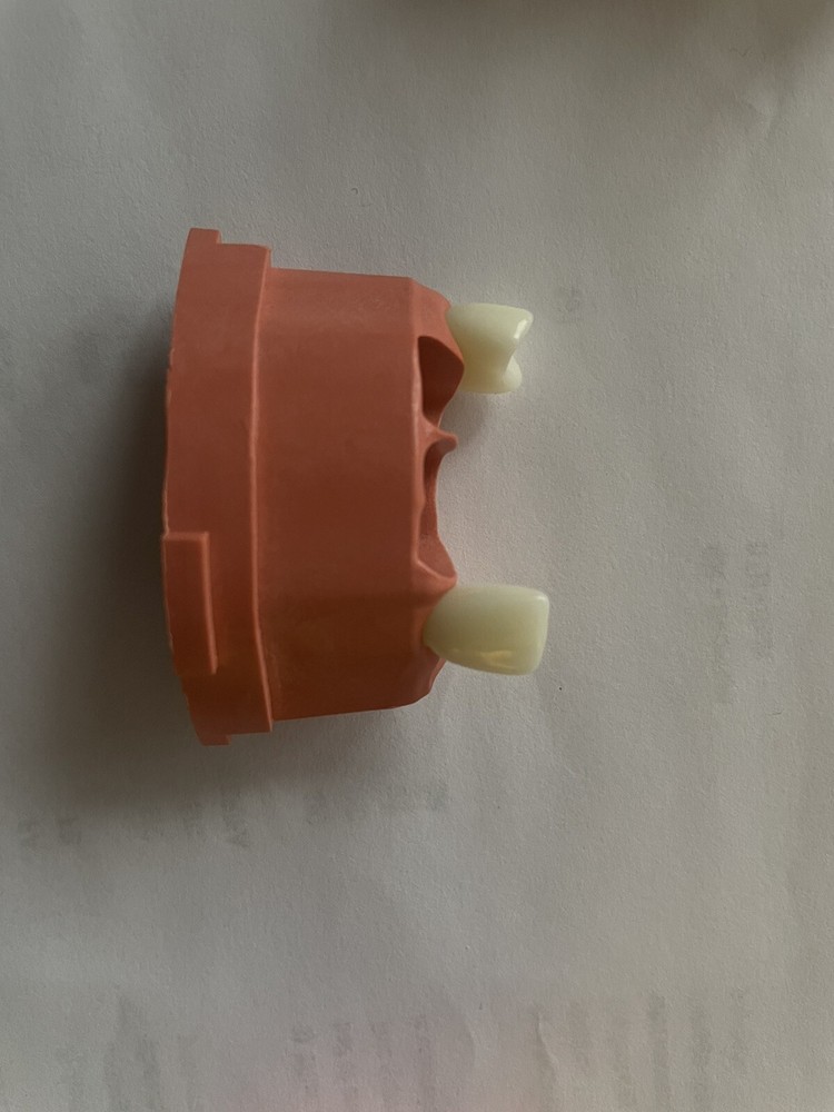 ACADENTAL ENDO Upper Anterior Module( M200)
