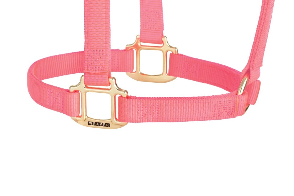 Original Non-Adjustable Halter , 1" Pink
