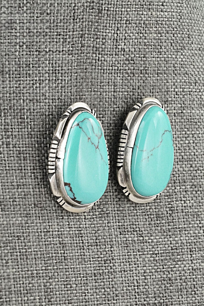 Turquoise & Sterling Silver Earrings - Thomas Francisco