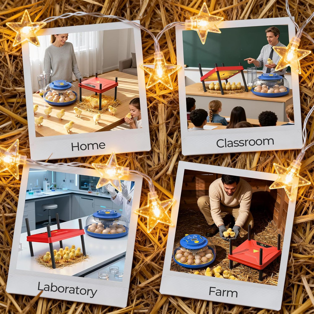 Winter Chick Brooder Heating Plate, Adjustable Temp & Height, Energy Efficient