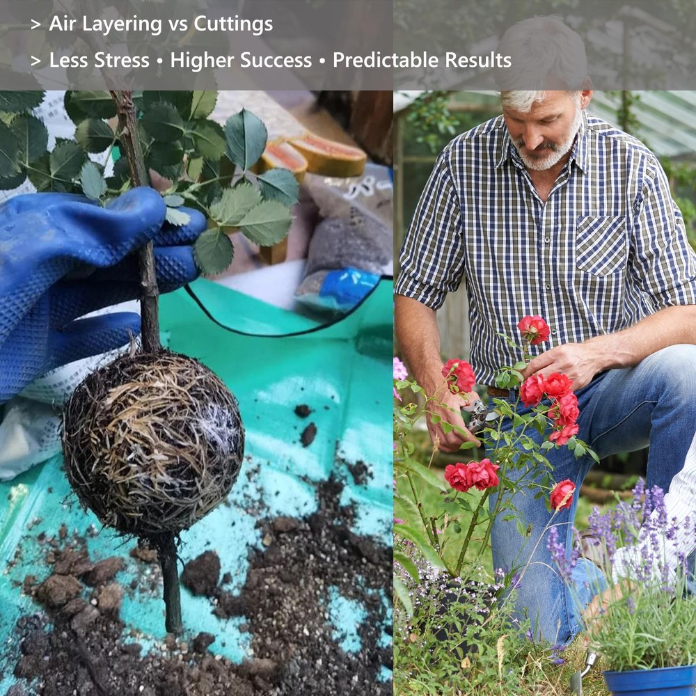 Tree Root Growing Box 10pcs Air Layering Propagation Ball Kit