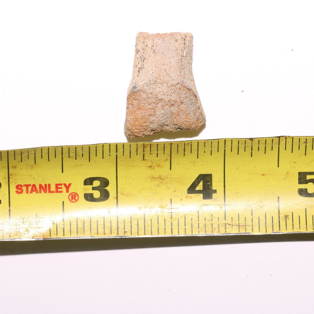 Hollow Raptor Bone - Hell Creek Formation Cretaceous