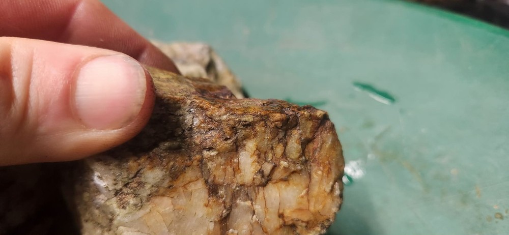 Gold Quartz Ore Rock Highly Mineralized Ore Rock 8LB