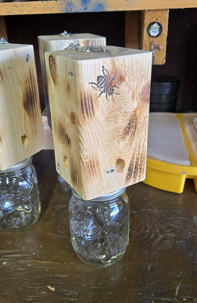 CARPENTER 'BORE' BEE TRAPS THAT WORK!