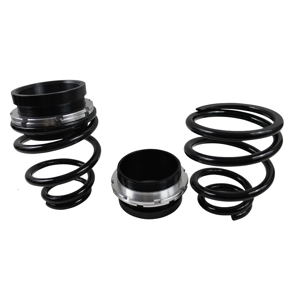 2006-2011 Civic Rear Hi-Low Spring Coilover Lowering Kit