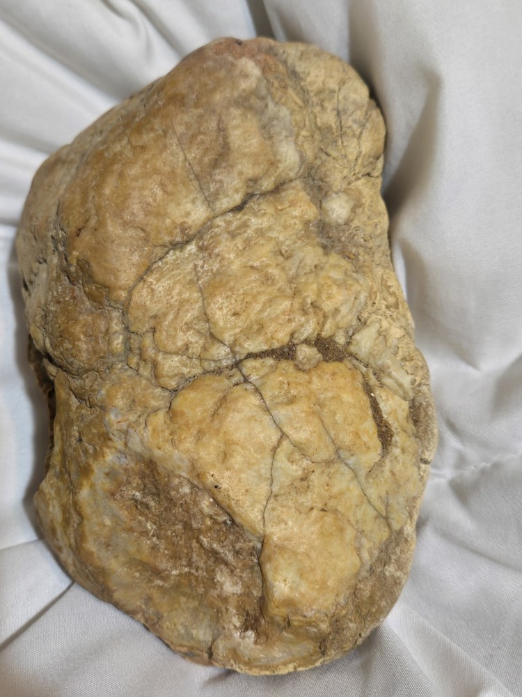 Geode From Indiana 4.5lbs