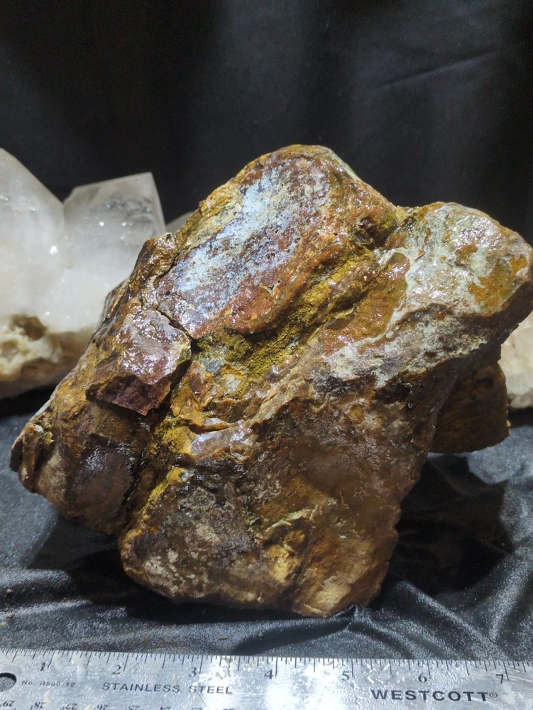 Biggs Jasper Specimen w/ Dendric Natural Form (7lbs 12oz)