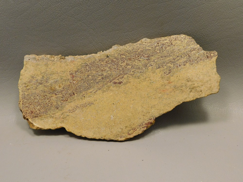 Coquina Jasper Lapidary Rough Rock Script Stone Slab Cabbing #O1