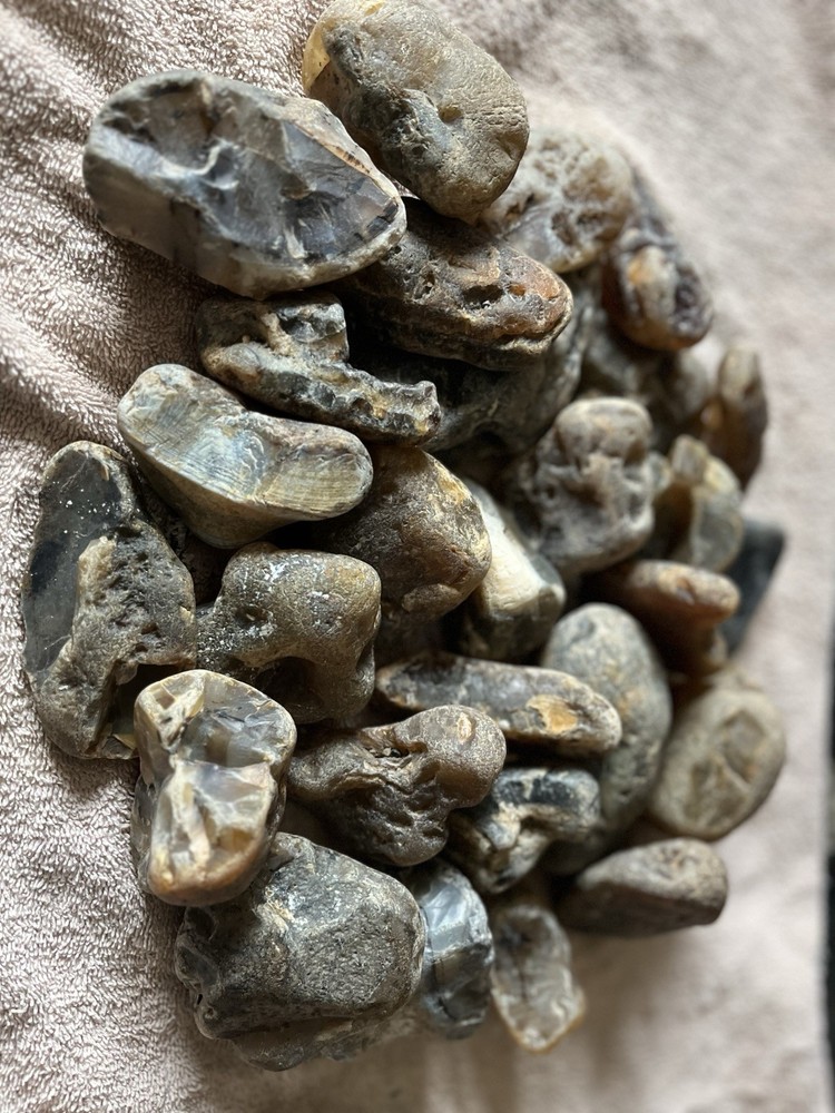 16 Lbs. Rough Mantaba Agate (41)