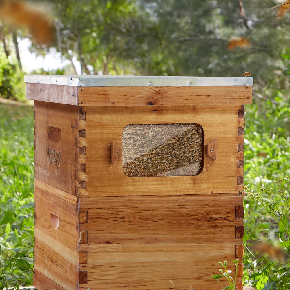 Deep Waxed Brood Box with Window, 10 frames and 10 Blk Foundations